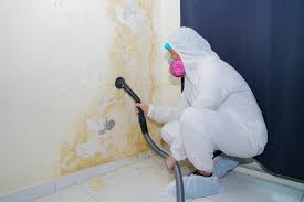 Best Commercial Mold Inspection  in Crested Butte, CO